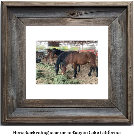 horseback riding near me in Canyon Lake, California